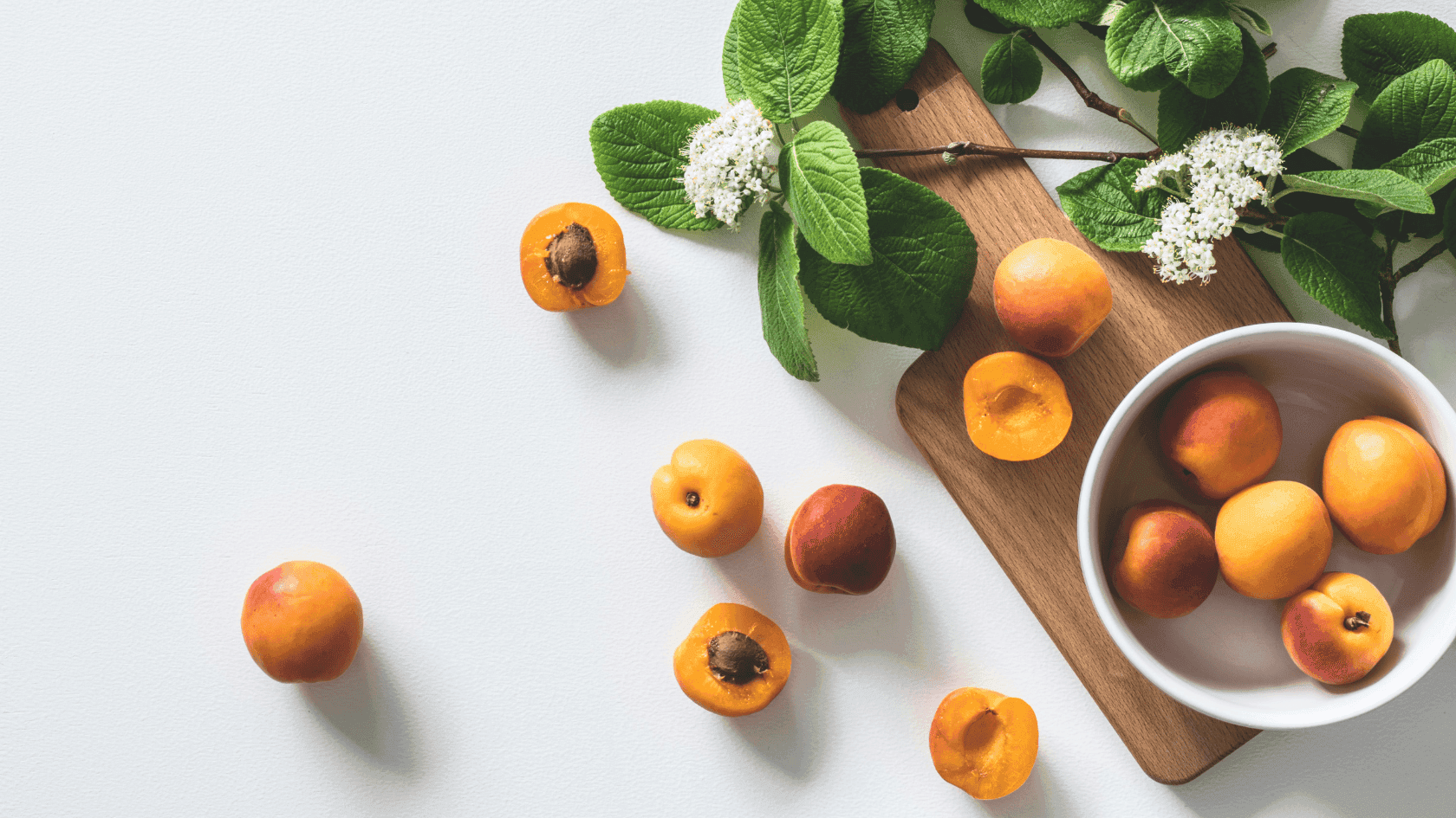 Advanced Nutrition and Holistic Health Courses